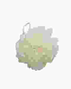 HERBA Body & Spa Massageblume beige