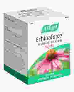 VOGEL Echinaforce Resist-Erkält forte Tabl 40 Stk