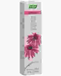 VOGEL Zahnpasta Echinacea 100 g