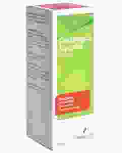 CRATAEGUS Synpha Tropfen Fl 100 ml