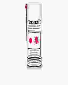 RECOZIT Ungeziefer Spray 400 ml