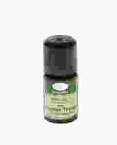 AROMALIFE Thymian Thymol Äth/Öl BIO Fl 5 ml