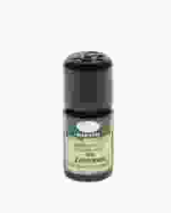 AROMALIFE Zimtrinde Äth/Öl BIO Fl 5 ml