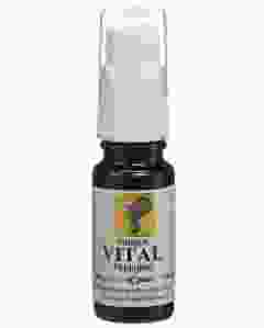 ODINELIXIR Vital Blüteness Fertigm Spr 10 ml