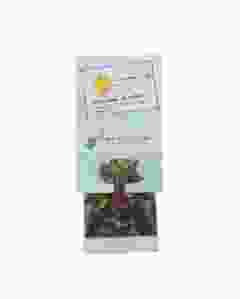 HERBORISTERIA Lichtzauber Tee offen Btl