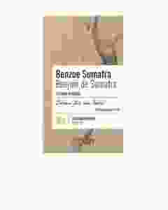 PHYTOMED Benzoe Sumatra Räucherwerk Karton 20 g