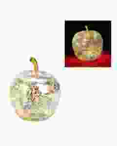 HERBORISTERIA Deko-Apfel aus Glas silber 10 LED