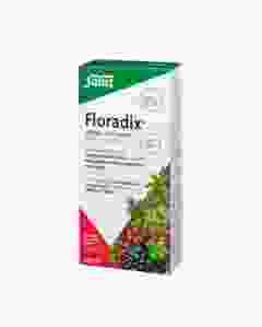 FLORADIX Eisen + Vitamine Profit Pack 500 ml