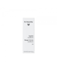 DR. HAUSCHKA Lipstick 14 caralluma 4.1 g