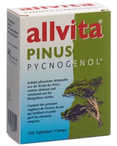 ALLVITA Pinus Pycnogenol Tabl 120 Stk