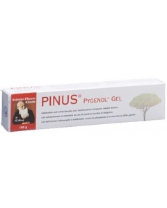 PINUS PYGENOL Künzle Gel Tb 100 g
