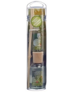 ESSENCE OF NATURE Sticks Grapefruit & Kiwi 100 ml