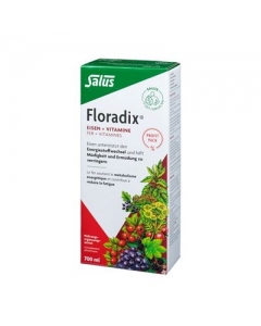 FLORADIX Eisen + Vitamine Profit Pack 700 ml